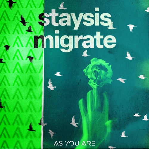 Staysis - Migrate [AYA022]